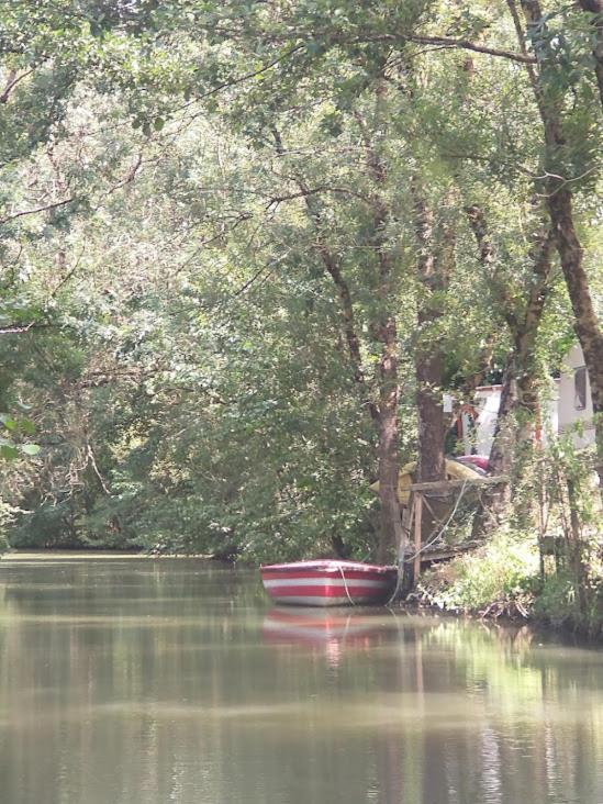 Courçon Le Puits Sainte Claire Bed & Breakfast エクステリア 写真